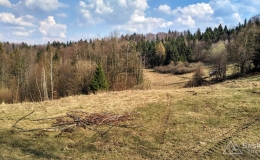 IMG_20170402_154314_HDR