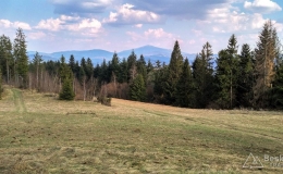 IMG_20170402_162039_HDR