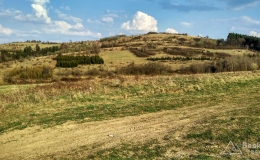IMG_20170402_171925_HDR
