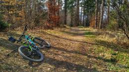 IMG_20170404_112612_HDR