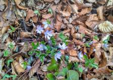 IMG_20170409_130019_HDR