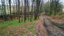 IMG_20170409_151945_HDR