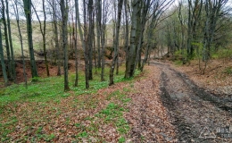 IMG_20170409_151945_HDR