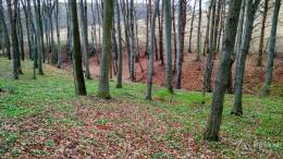 IMG_20170409_152029_HDR