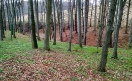 IMG_20170409_152029_HDR