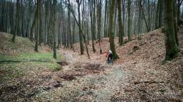 IMG_20170409_152510_HDR