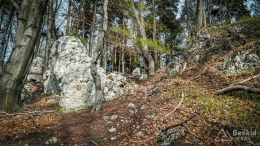 2017-04-14_215416-anim