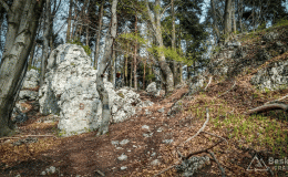 2017-04-14_215416-anim