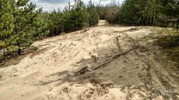 IMG_20170414_122921_HDR