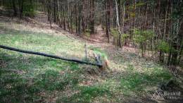 IMG_20170414_142223_HDR