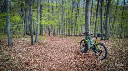 IMG_20170414_143325_HDR