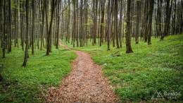 IMG_20170414_153259_HDR