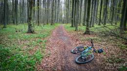 IMG_20170414_153315_HDR