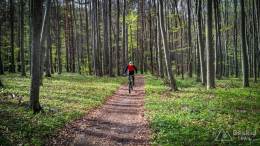 IMG_20170414_153619_HDR