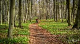 IMG_20170414_153639_HDR