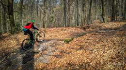 IMG_20170414_155342_HDR