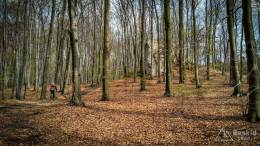 IMG_20170414_155403_HDR