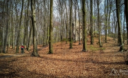 IMG_20170414_155403_HDR