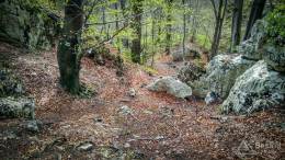 IMG_20170414_162709_HDR