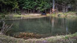 IMG_20170415_110401_HDR