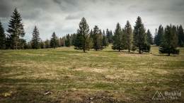 IMG_20170415_112208_HDR