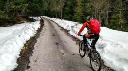 IMG_20170415_122648_HDR