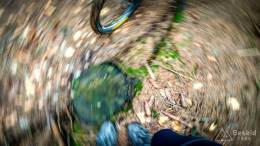 IMG_20170415_124555_HDR