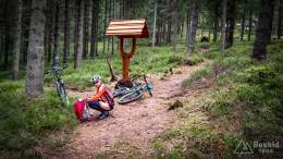 IMG_20170415_125428_HDR