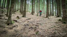 IMG_20170415_132129_HDR