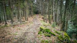 IMG_20170417_121251_HDR kopia