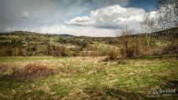 IMG_20170417_125306_HDR kopia