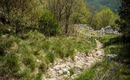 dzien_1-17