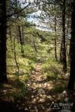 dzien_1-19