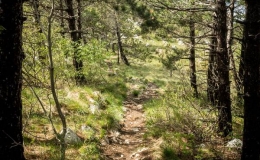 dzien_1-19