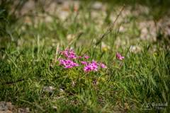 dzien_2-05
