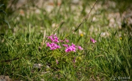 dzien_2-05