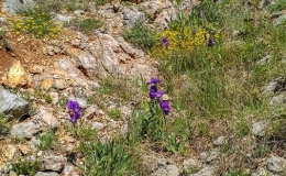 dzien_2-20