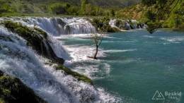 dzien_5-02