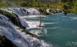 dzien_5-02