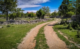 dzien_5-05