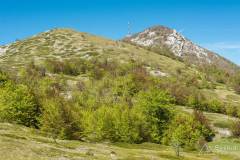dzien_5-10