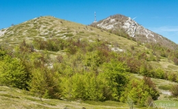 dzien_5-10