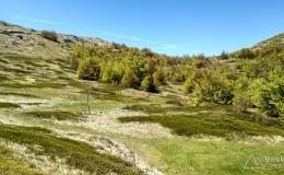 dzien_5-11
