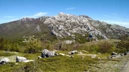 dzien_5-13