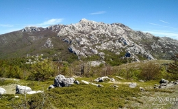 dzien_5-13