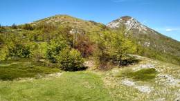 dzien_5-14