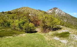 dzien_5-14