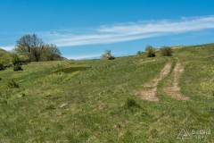 dzien_5-20