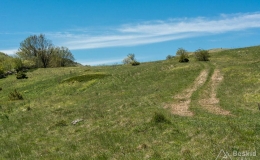 dzien_5-20