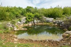 dzien_6-06